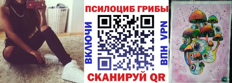 даркнет клад  продажа наркотиков  Черепаново  Галлюциногенные грибы Psilocybine cubensis 