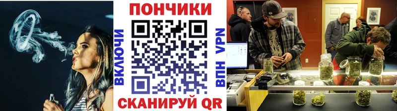 что такое наркотик  Черепаново  Бошки марихуана ГИДРОПОН 